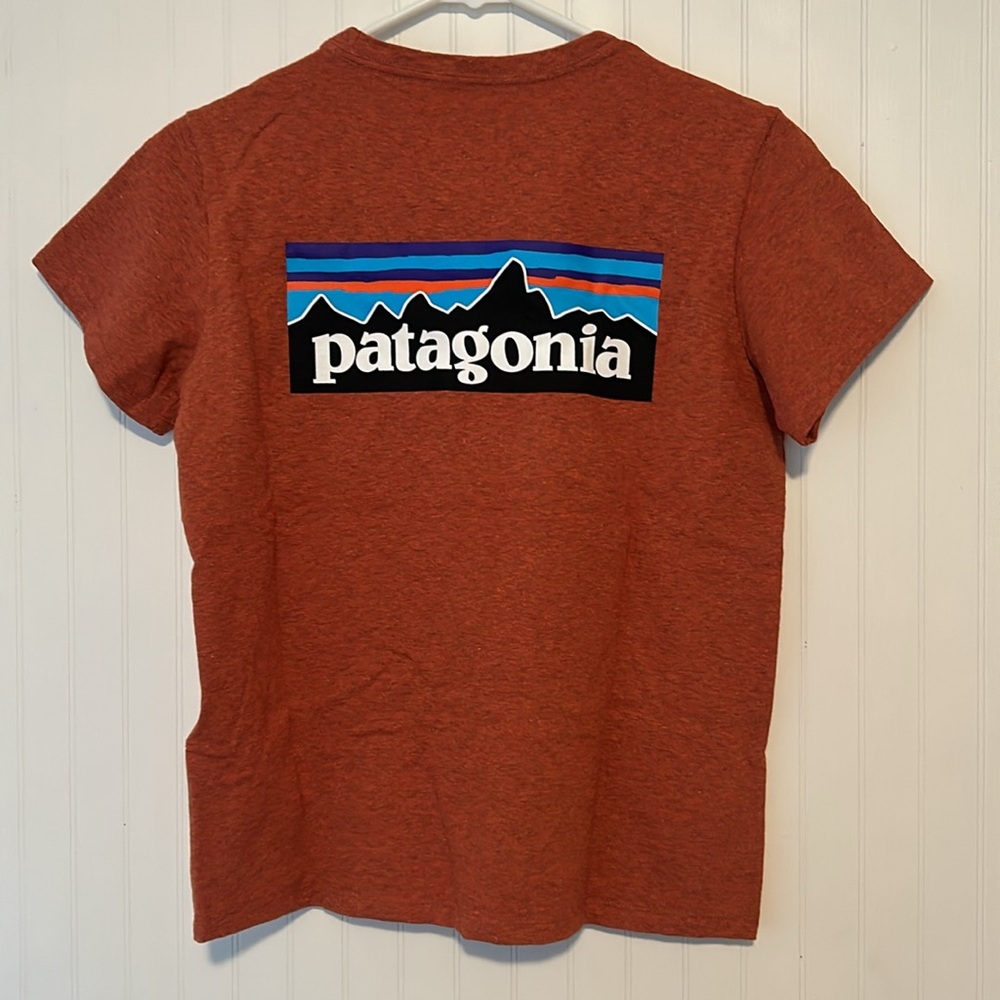 Patagonia T-shirt size small